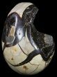 Septarian Dragon Egg Geode - Black Crystals #54578-2